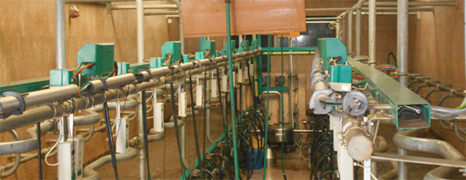 Instalatii electrice la ferme de animale